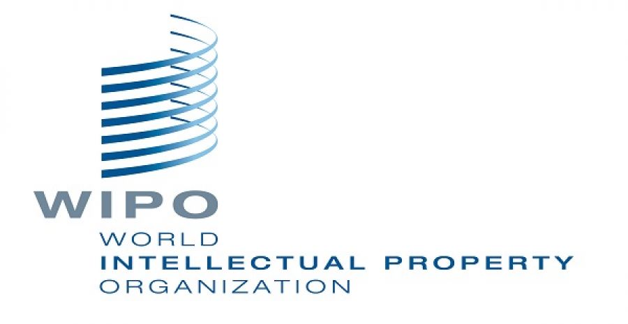WIPO Global Innovation Index Fellowship 2027 – 21 octobre 2026